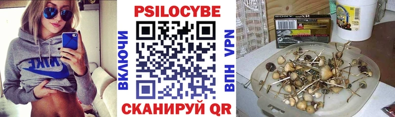 Псилоцибиновые грибы Magic Shrooms  Тогучин 