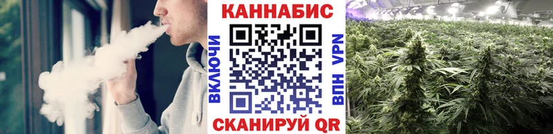 Бошки марихуана THC 21%  гидра маркетплейс  Тогучин 